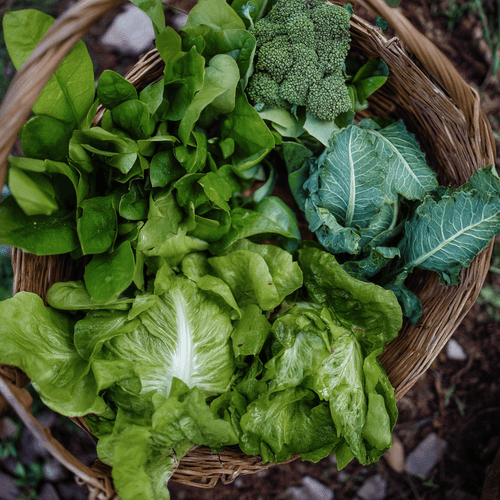 A close photo of a basket of leafy vegetables
