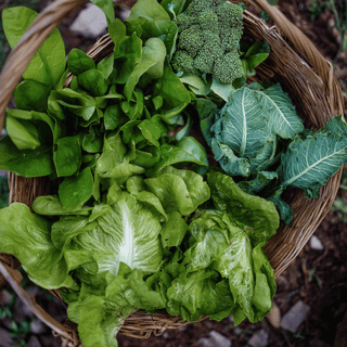 A basket full of Leafy vegetables