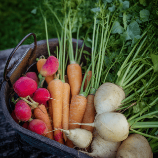 A basket full of Root vegetables