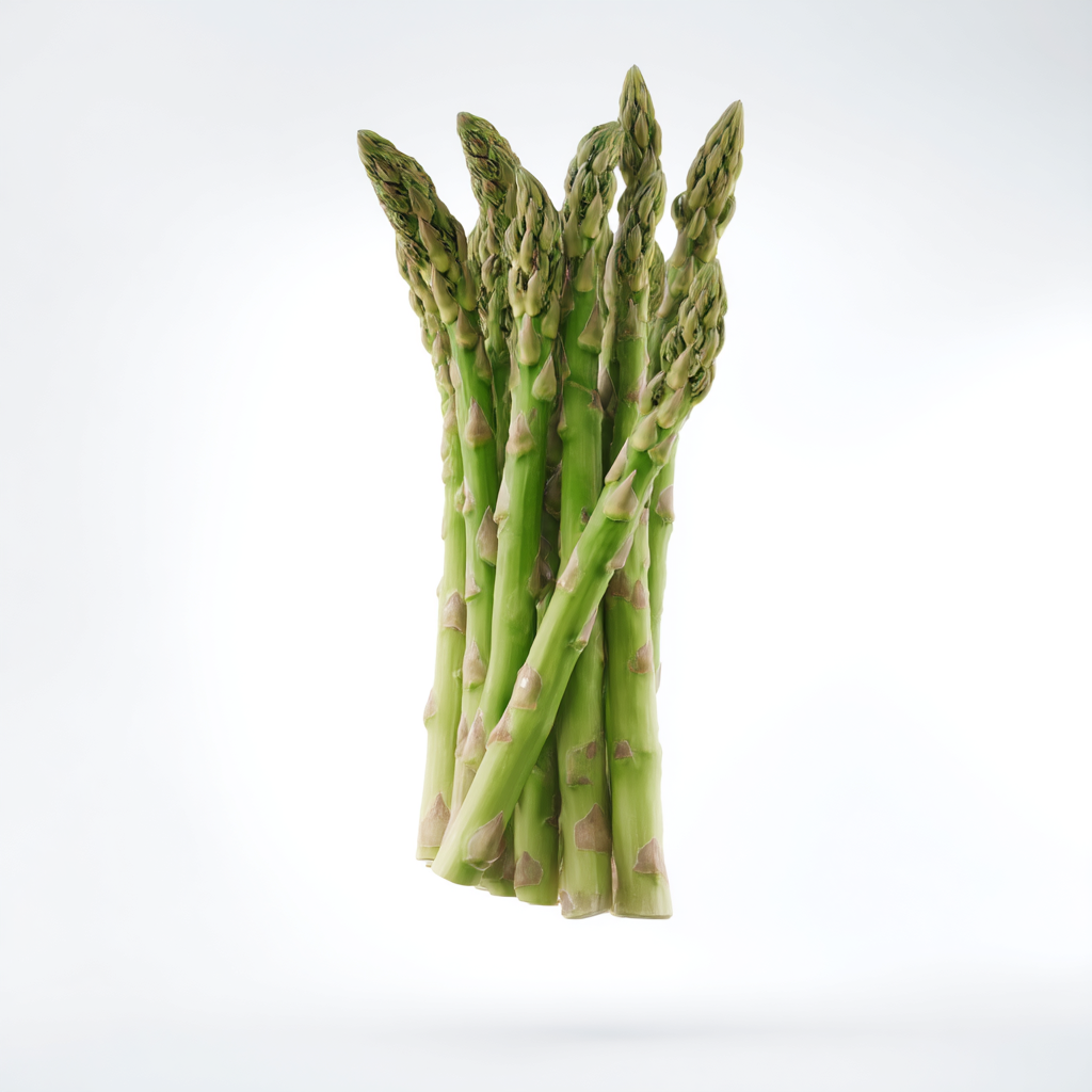 A perfectly ripe asparagus