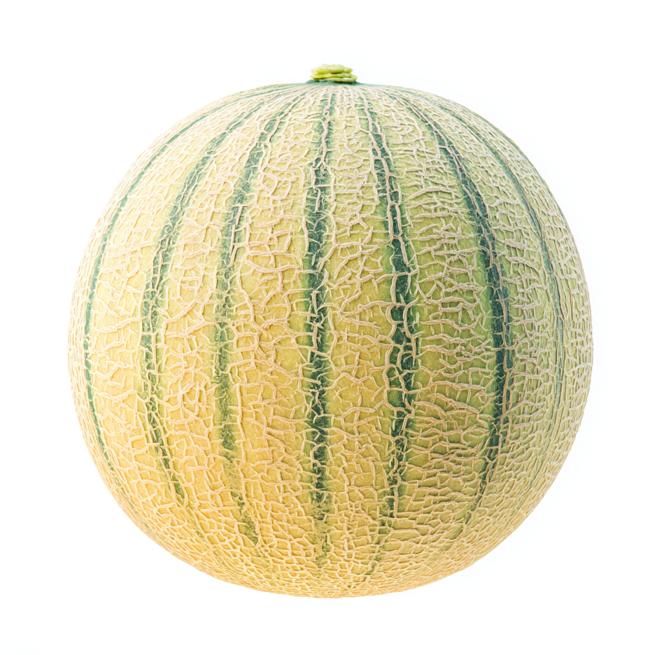 A perfectly ripe melon